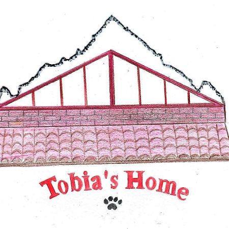 Tobia'S Home Roddino Экстерьер фото